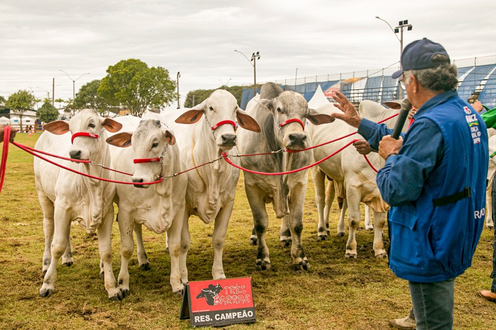 Expo Macaé aquece agronegócio