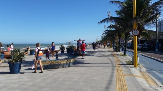 Cão bull terrier mata pinscher após ataque na Praia dos Cavaleiros