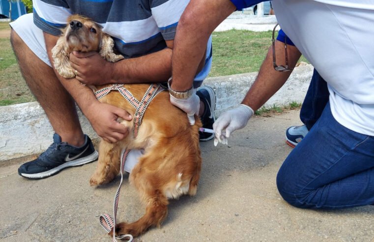 Vacinação antirrábica é levada a quatro localidades semana que vem