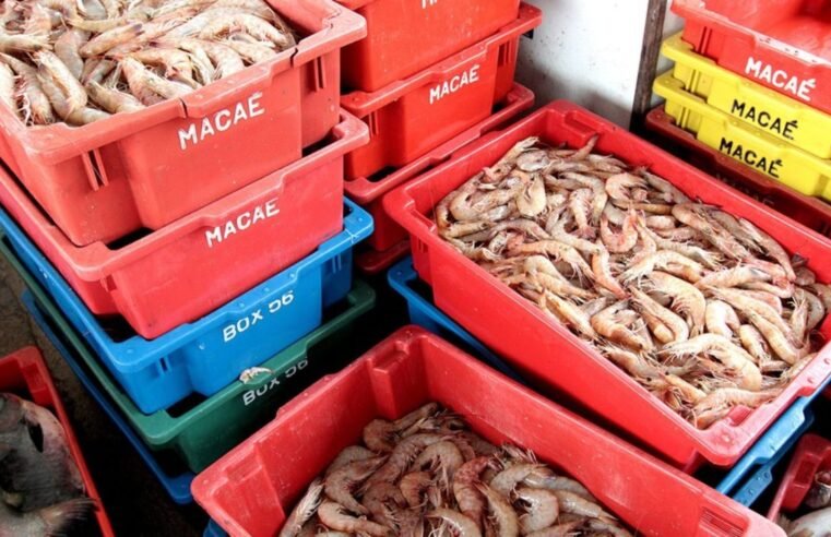 Prefeitura de Macaé paga defeso do camarão a 500 beneficiados