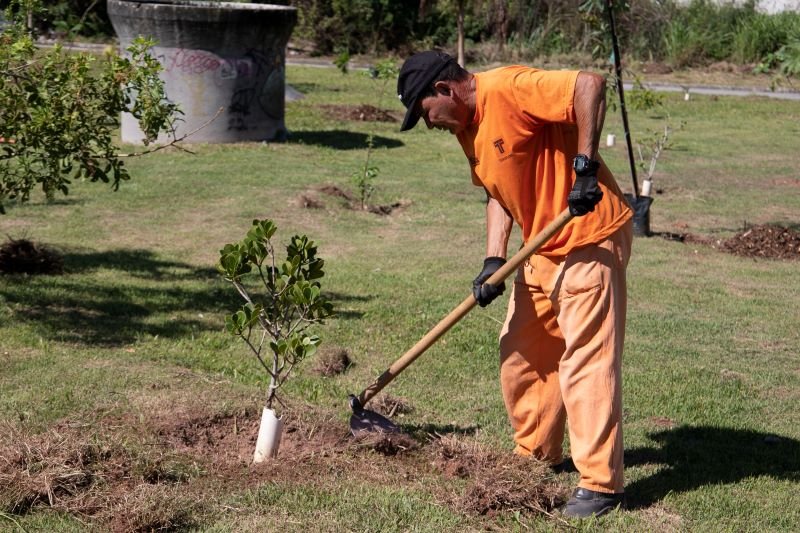 Rio das Ostras planta 100 mudas no Projeto Bosques Urbanos