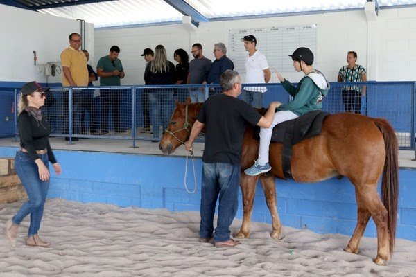 Prefeitura oferece terapia gratuita usando cavalos em programa referência no país