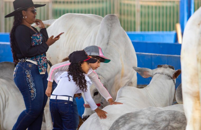 Expo Macaé 2023 terá atrações ligadas ao agronegócio