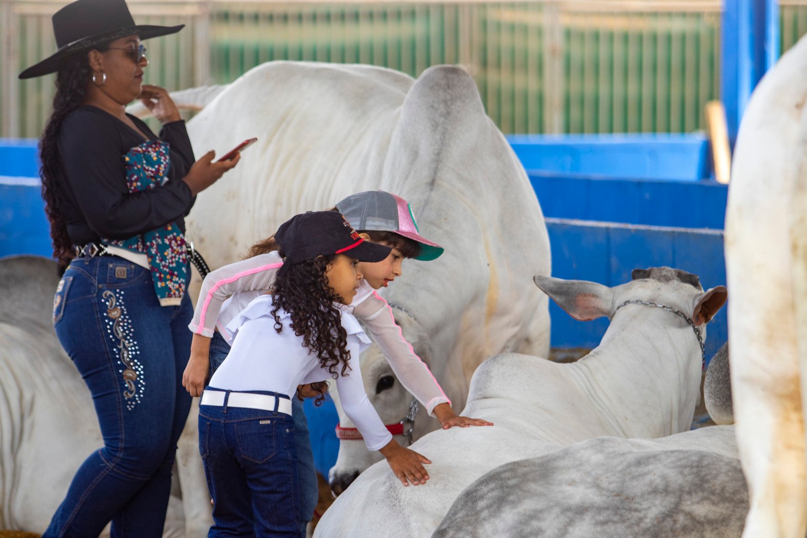 Expo Macaé 2023 terá atrações ligadas ao agronegócio