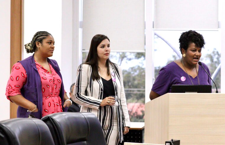 Câmara de Macaé divulga Agosto Lilás e serviços para as mulheres