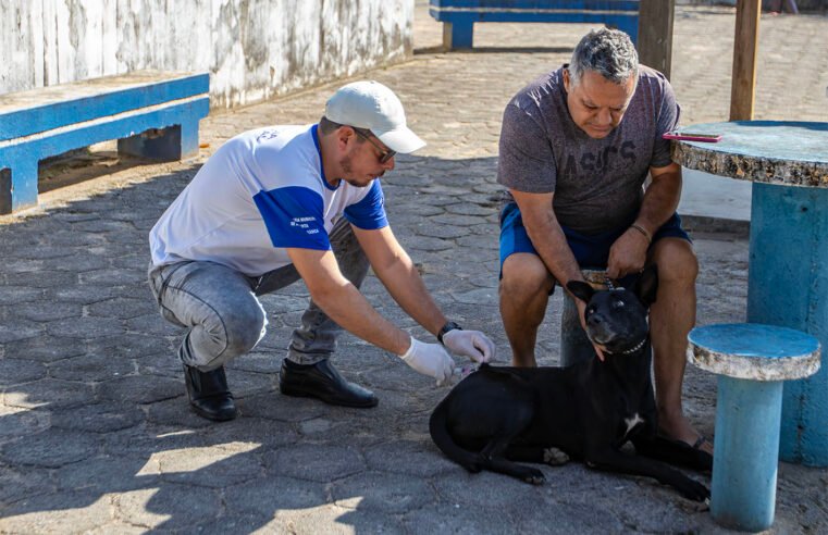Macaé prepara Dia D Estadual de Vacinação Antirrábica
