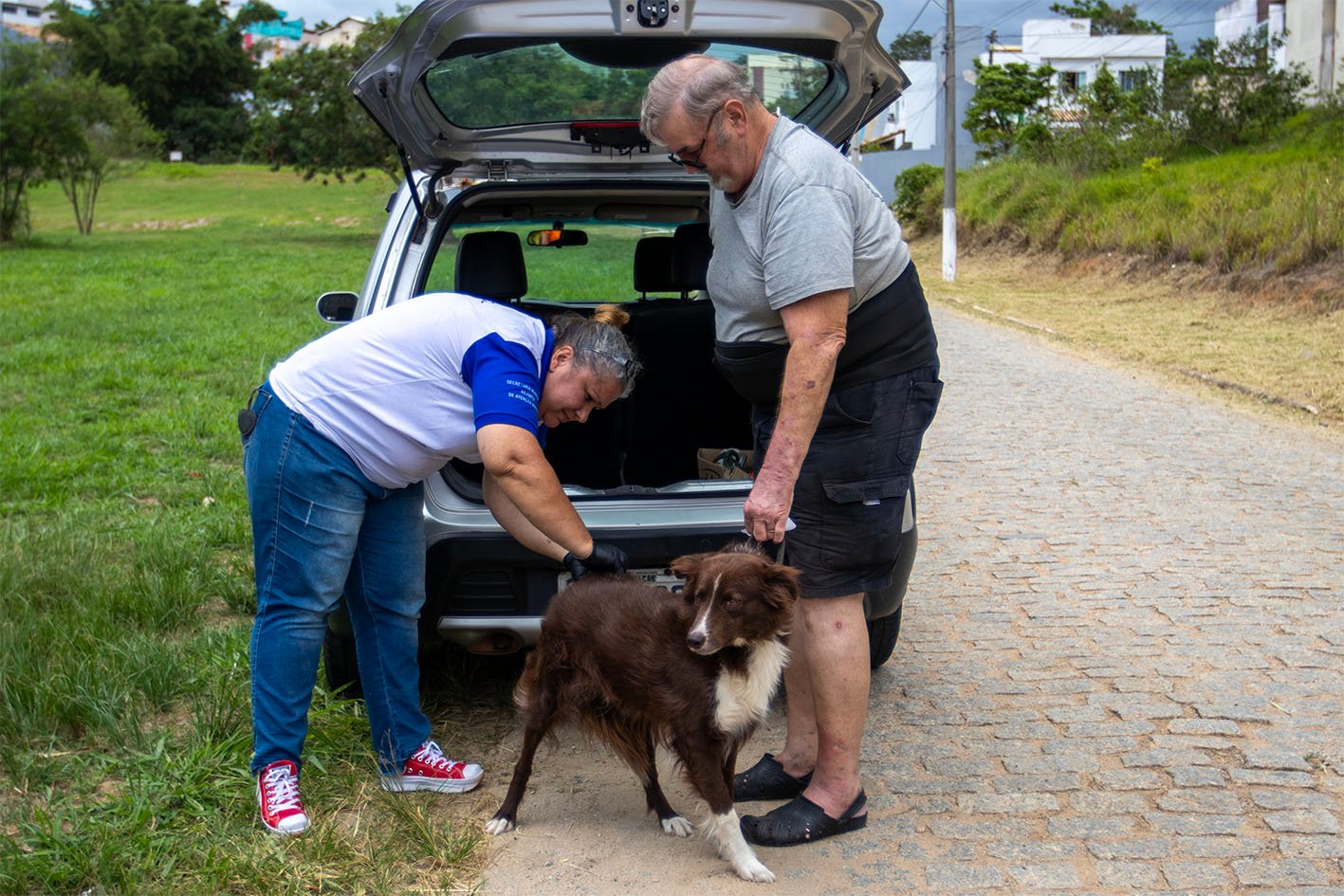 Vacinação Antirrábica imuniza cães e gatos em São José do Barreto
