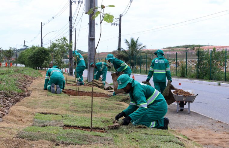 Ambiente começa plantio de 200 mudas de árvores frutíferas em Imboassica