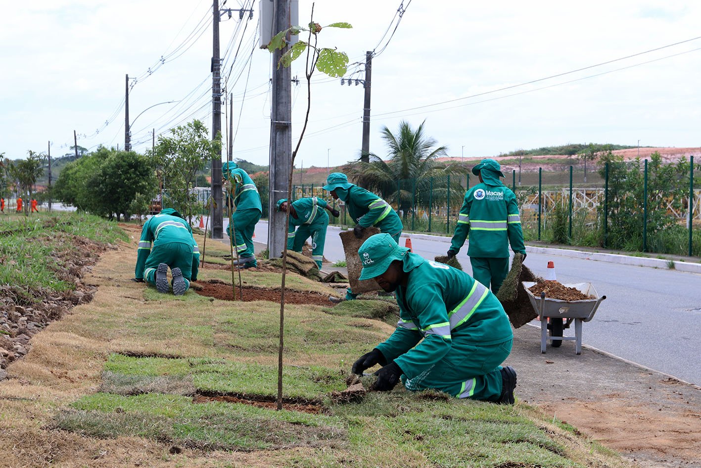 Ambiente começa plantio de 200 mudas de árvores frutíferas em Imboassica