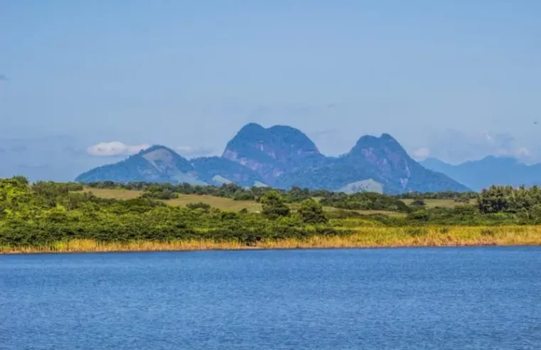 Pesquisadores da UFRJ participam da despoluição de lagoa em Macaé