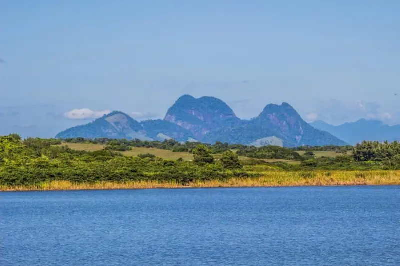 Pesquisadores da UFRJ participam da despoluição de lagoa em Macaé
