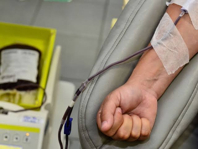 Saúde: Hemoterapia solicita doação de sangue