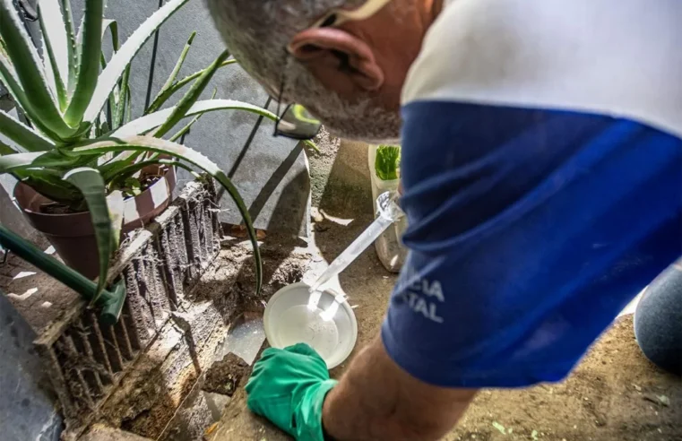 Combate ao aedes prossegue com mutirões e fumacê nesta semana