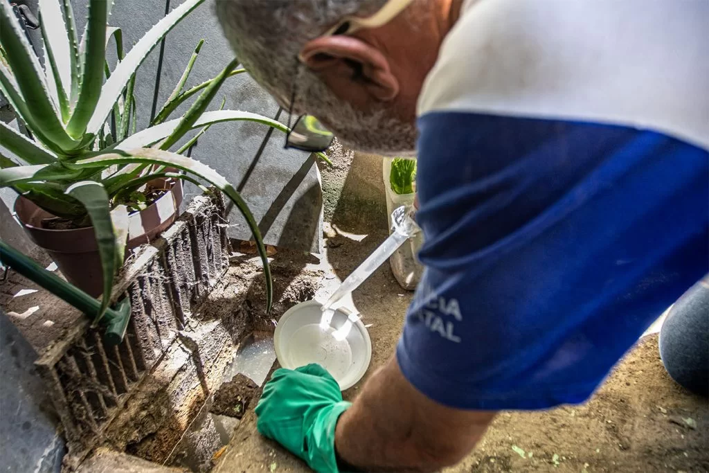 Combate ao aedes prossegue com mutirões e fumacê nesta semana