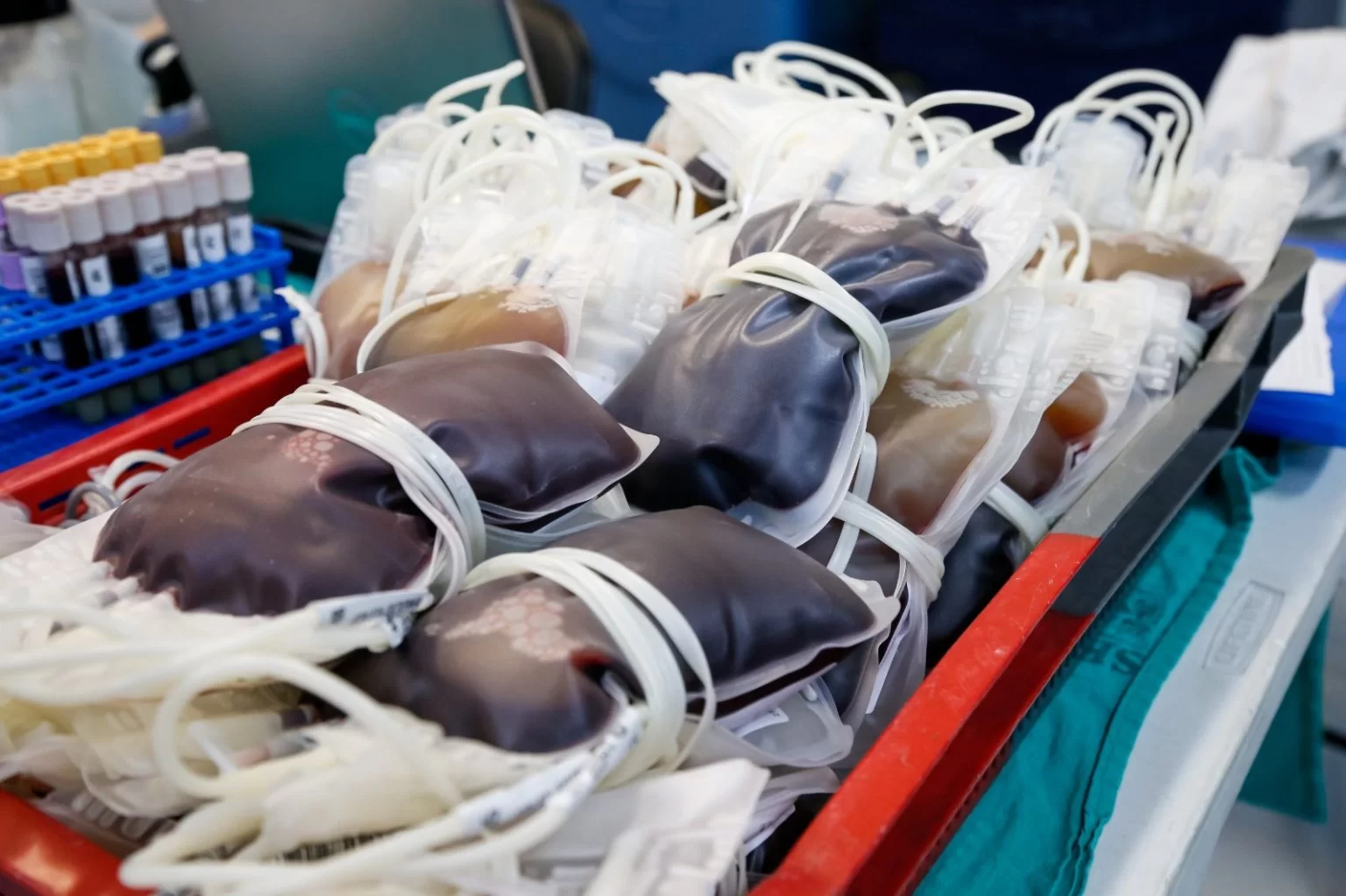 Serviço Municipal de Hemoterapia de Macaé necessita da doação de sangue