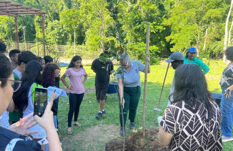 IFF Macaé recebe 30 mudas de espécies da Mata Atlântica