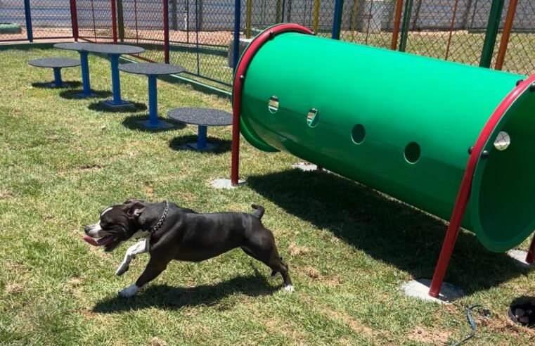 Em Macaé, novo Parque para Cães na Praia Campista: um espaço de lazer para os pets