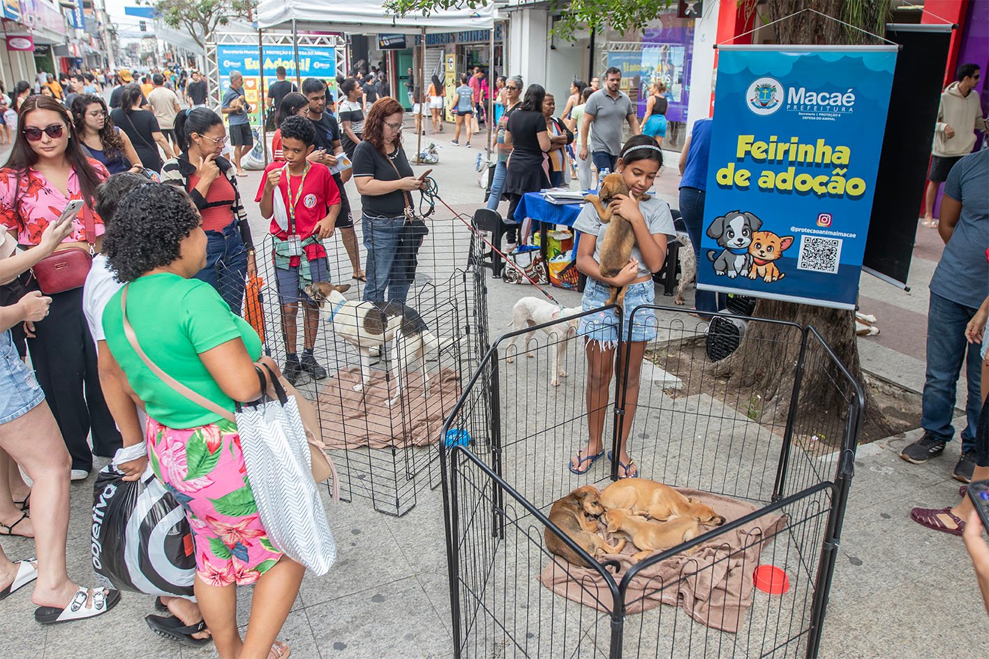 Calçadão recebe Feira de Adoção nesta quarta-feira
