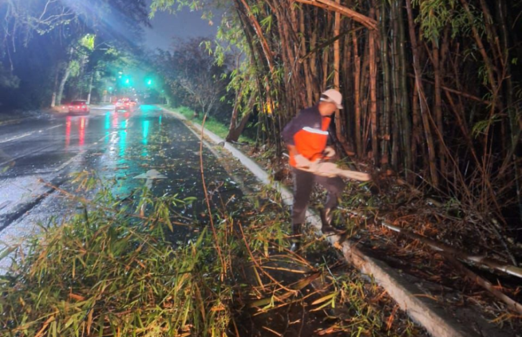 Prefeitura segue com ações após pancadas de chuva e rajadas de vento